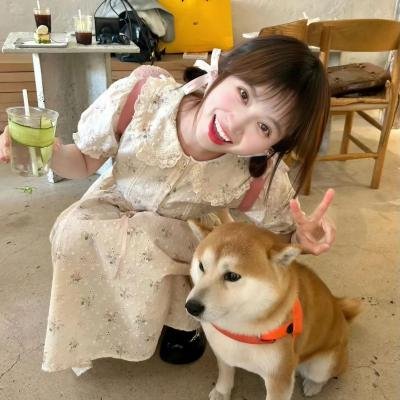梦游故宫